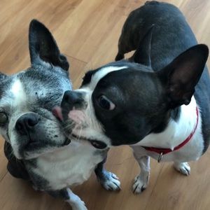 Meet your Posher, Katarina